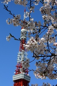 新年度が始まりました！